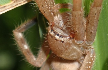 P5038534b.jpg